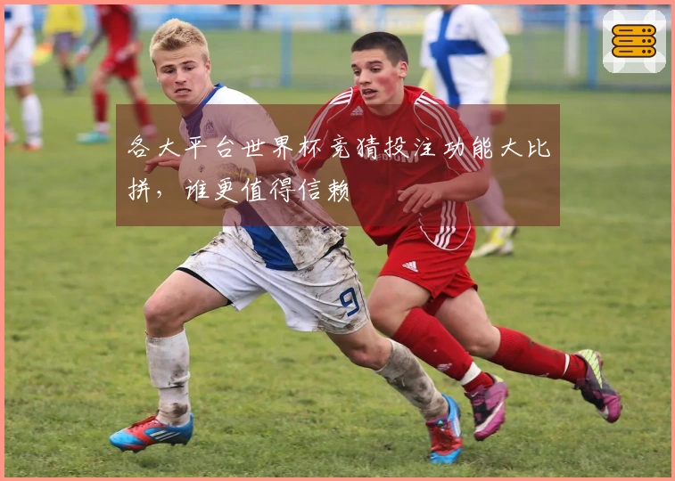各大平台世界杯竞猜投注功能大比拼，谁更值得信赖