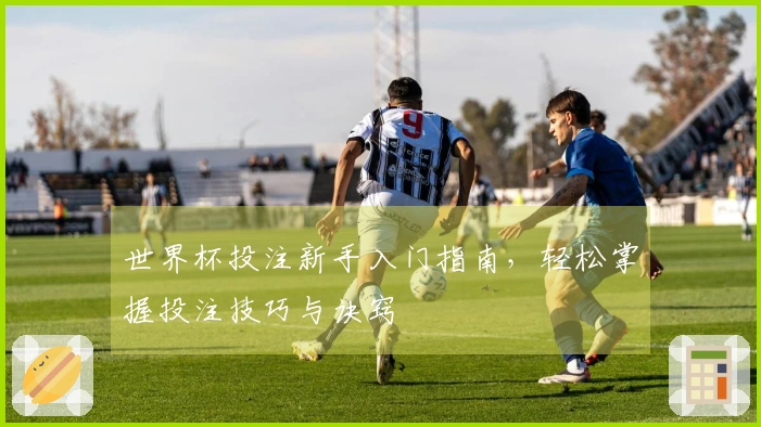 世界杯投注新手入门指南，轻松掌握投注技巧与诀窍