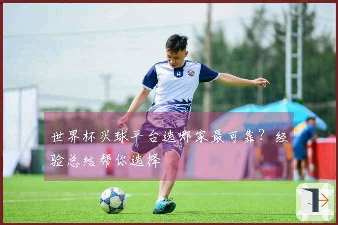 世界杯买球平台选哪家最可靠？经验总结帮你选择