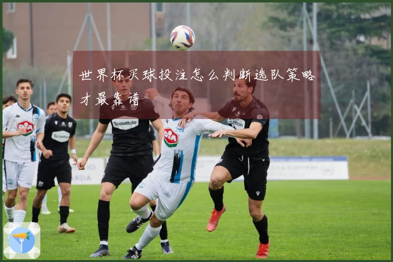 世界杯买球投注怎么判断选队策略才最靠谱