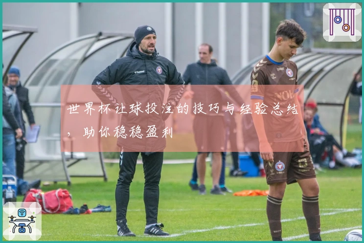 世界杯让球投注的技巧与经验总结，助你稳稳盈利