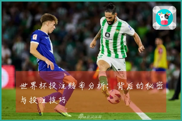 世界杯投注赔率分析：背后的秘密与投注技巧