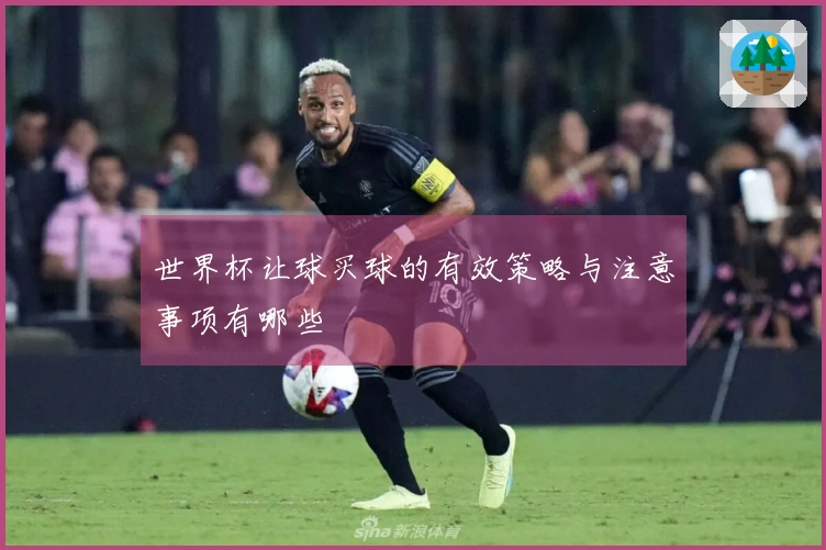 世界杯让球买球的有效策略与注意事项有哪些