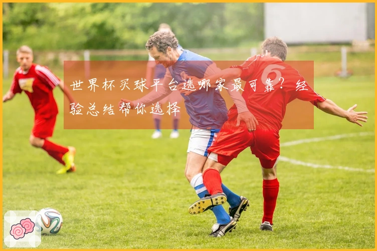 世界杯买球平台选哪家最可靠？经验总结帮你选择