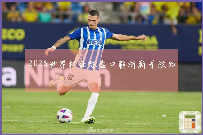 2026世界杯让球盘口解析新手须知