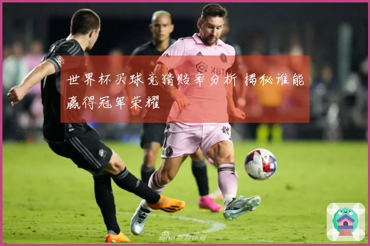 世界杯买球竞猜赔率分析 揭秘谁能赢得冠军荣耀