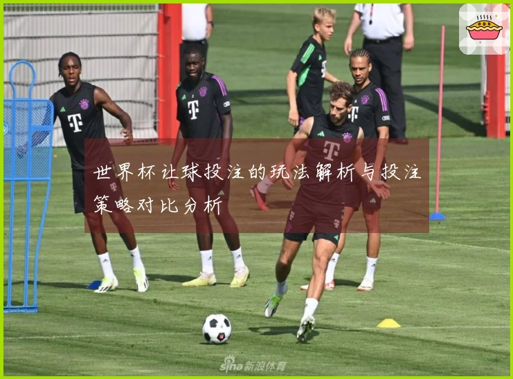 世界杯让球投注的玩法解析与投注策略对比分析