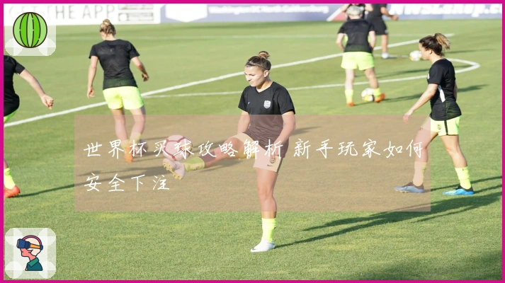 世界杯买球攻略解析 新手玩家如何安全下注