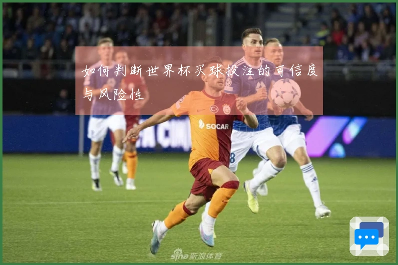 如何判断世界杯买球投注的可信度与风险性