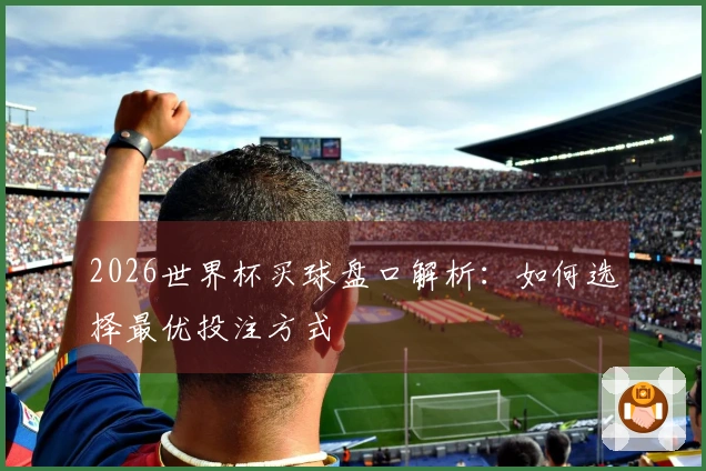2026世界杯买球盘口解析：如何选择最优投注方式