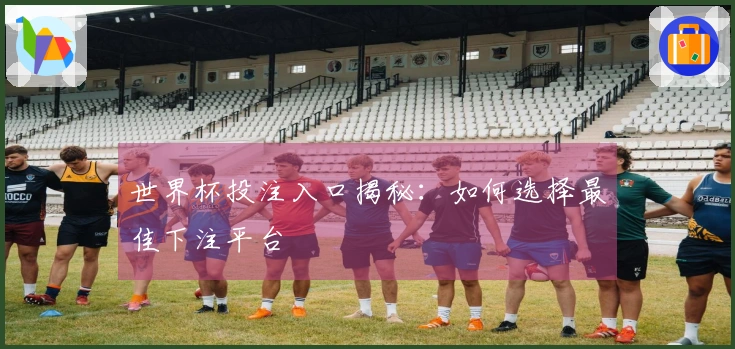 世界杯投注入口揭秘：如何选择最佳下注平台