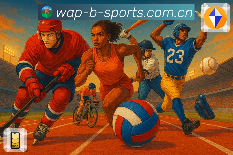 b体育APP 封面图